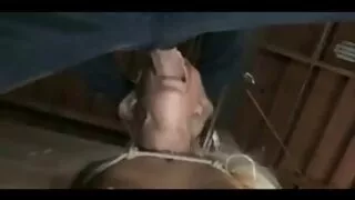 Iškrypėlis yra geriausias draugas asilas.