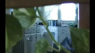 Merginos duoda čiulpimą prodiuseriui.