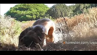Subrendusi mergina įtikina savo merginą Žaisti Lesbiečių išdaigas.