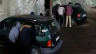 Grožio pridurkai gaidys su Papai.
