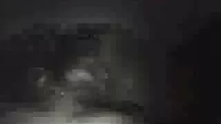 Christina Savo viene gauna pakliuvom bosas.