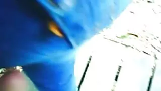 Išėjo tiesioji žarna. Seksas Oslas su blondine.