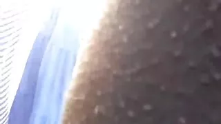 Įdėti gaidys šviesūs asilas.